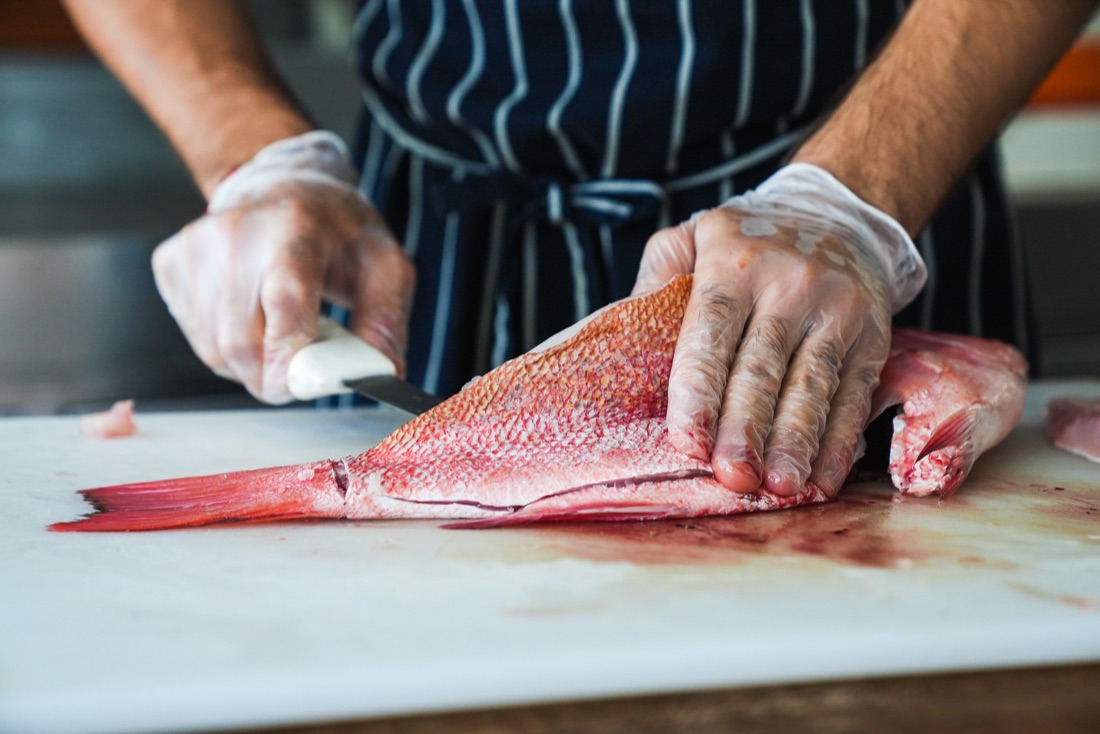 Chef filleting a freshly caught red snapper for a Catch, Cook and Cruise dinner