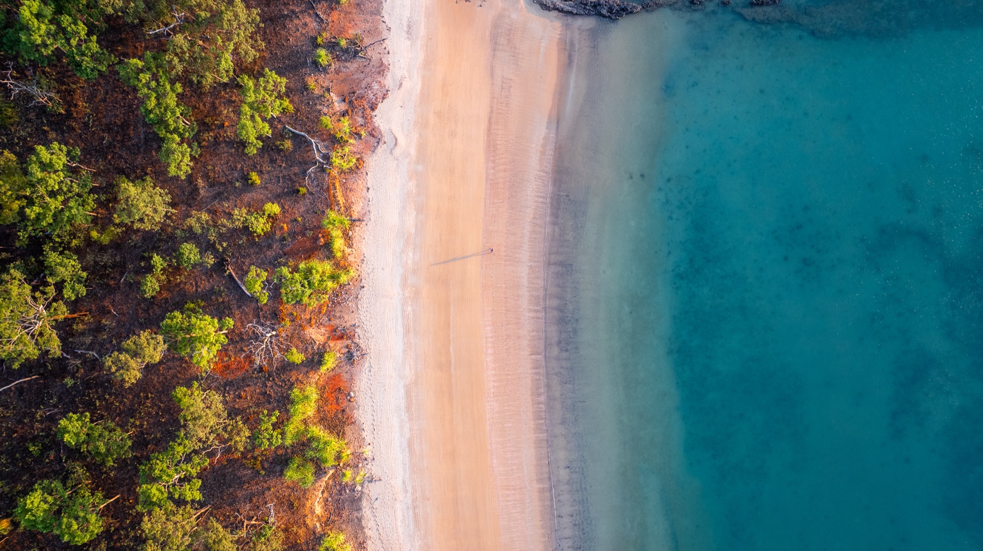 Aerial of the Monsoon Coast from a multi-day Cape Adieu safari